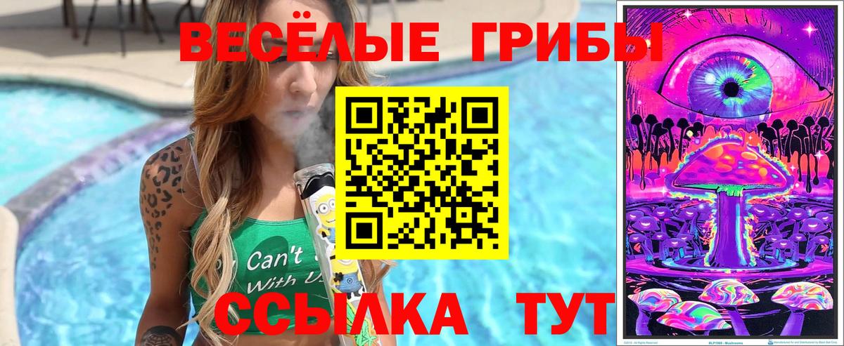 Лосино-Петровский  Псилоцибиновые грибы Psilocybe  Галлюциногенные грибы Magic Shrooms  Вход с VPN 
